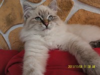 /album/galeria-ambrozja/sam-3247-600-x-450-jpg/